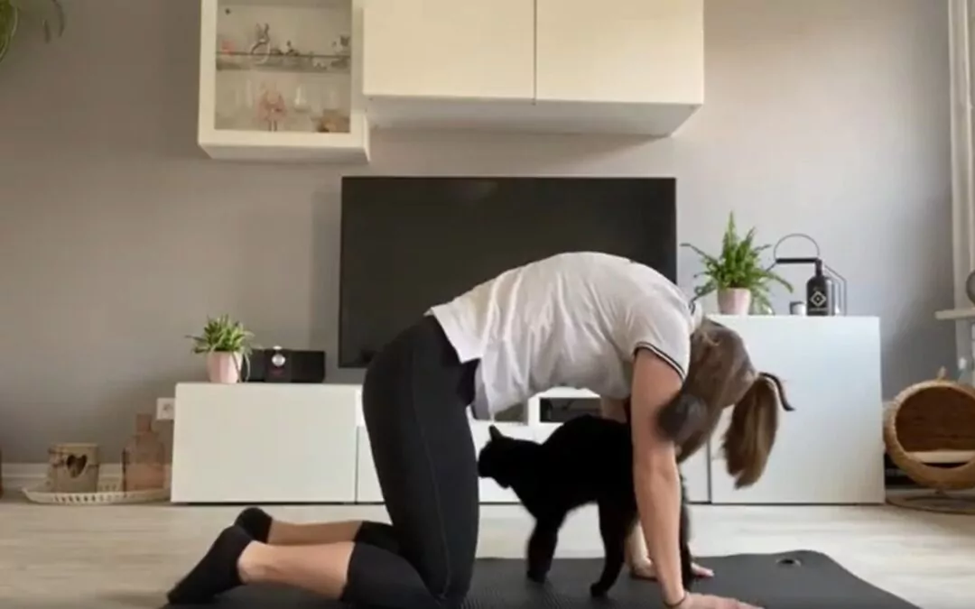 Kleines Workout auf der Matte