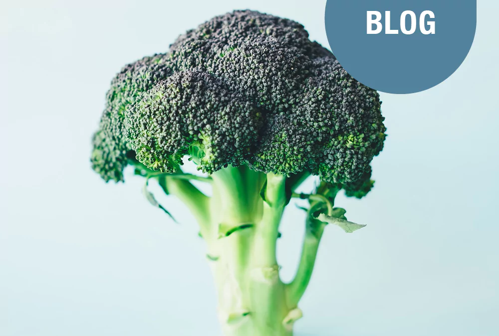 Warum schonen regionale Lebensmittel nicht nur die Umwelt, sondern fördern auch unsere Gesundheit? Inklusive Sommer-Genuss-Rezept!