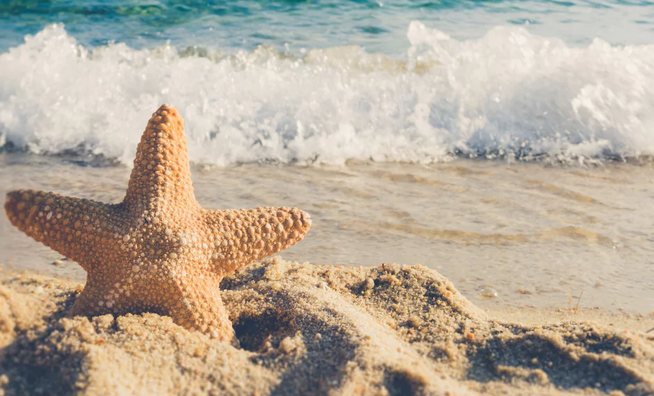 So erreichen Sie Ihre Bikinifigur!