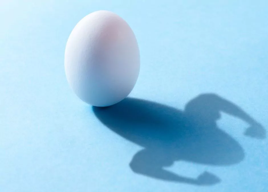 Darum ist Eiweiß der Powerstoff für Ihren Körper